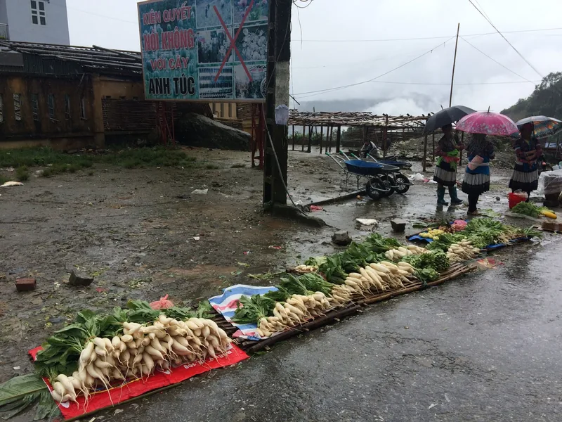 Phụ nữ Mông che ô bên những bó củ cải trắng bày dưới đất ở chợ phiên Dào San ngày mưa