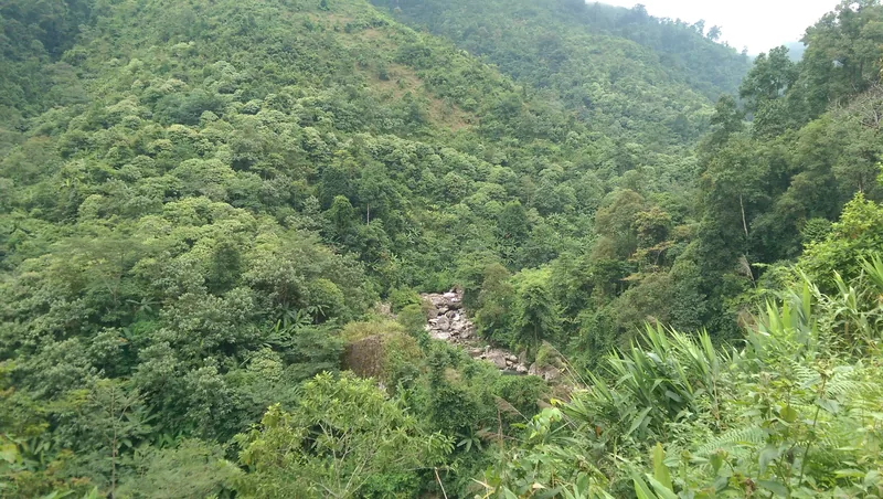 Rừng xanh phủ kín sườn núi ở độ cao khoảng 1.000 m, xã Mường Khoa (Tân Uyên cũ)